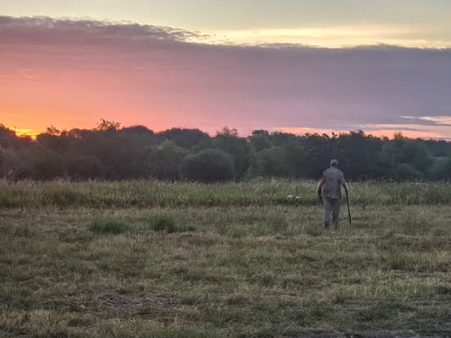DOVE HUNTING - San Antonio area