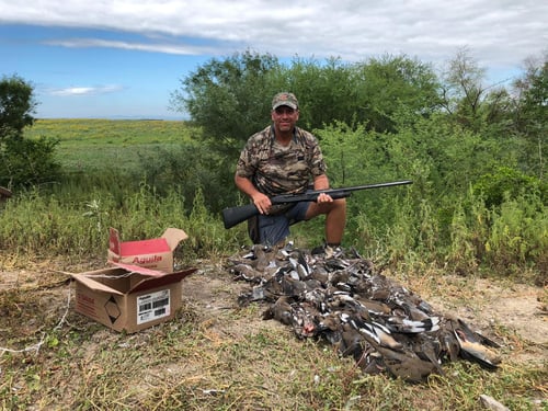 Dove Hunting 3 days / 4 nights