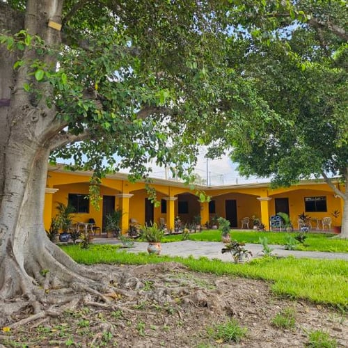 Quail Hunting 3 days 4 nights