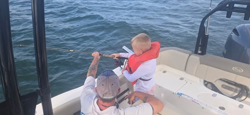 Kids Trip