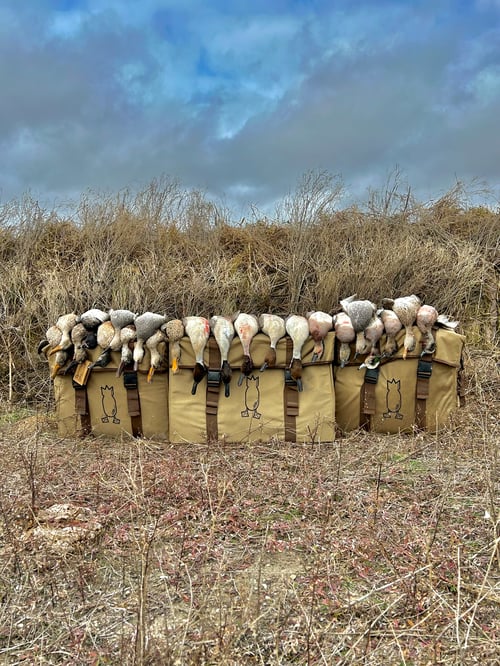 Central Texas Duck Hunts