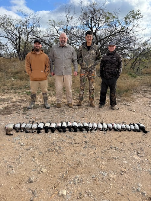 Premier TX Duck Hunt