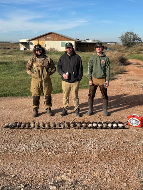 Premier TX Duck Hunt