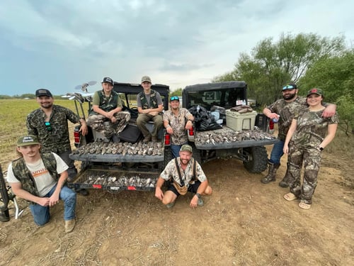 All inclusive 3 day Dove Hunt