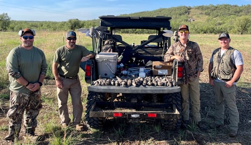 Dove Hunts