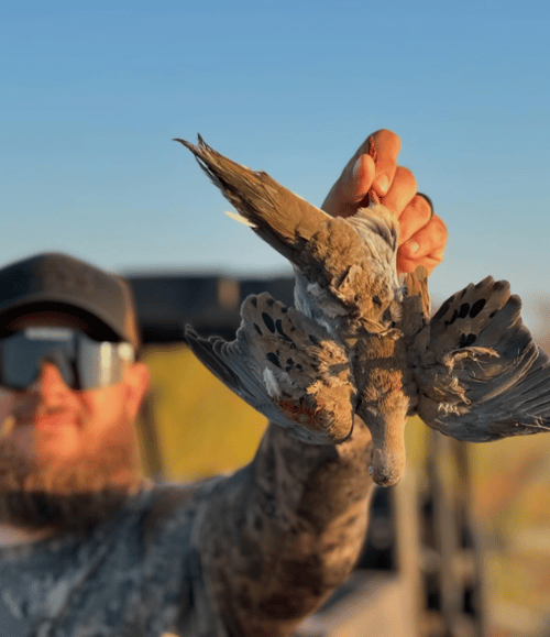Abilene TX Duck Hunts
