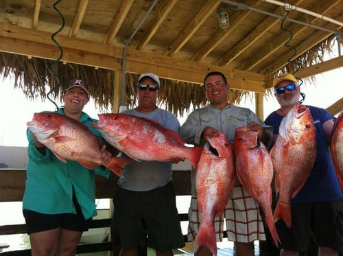 8 Hour Offshore