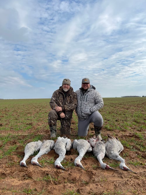 Sandhill Crane Hunt