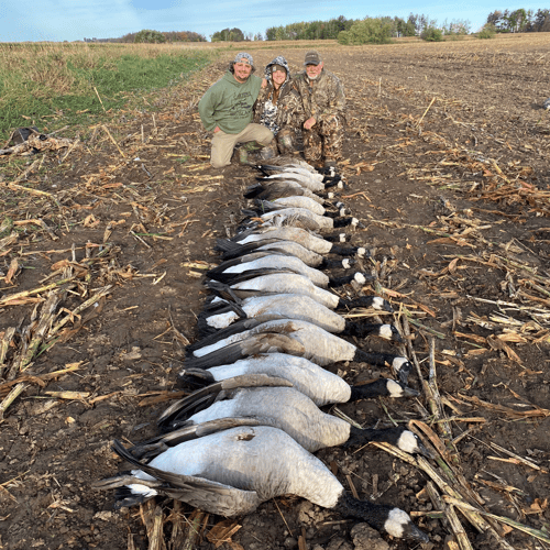 Wisconsin Early Season Guided Goose Hunts