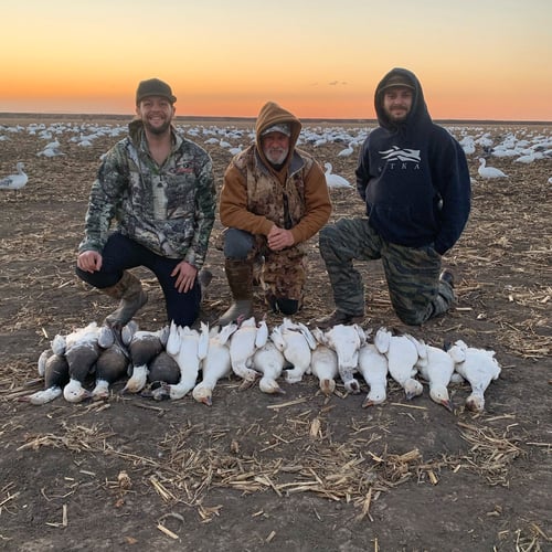 Missouri Spring Snow Goose Hunts