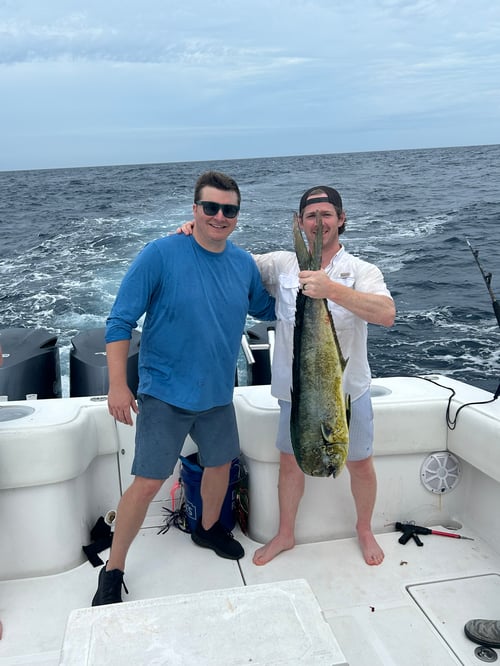 Deep Sea Full Day & Extended Trips