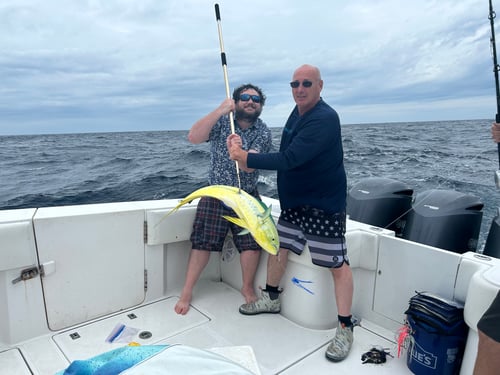 Deep Sea Full Day & Extended Trips