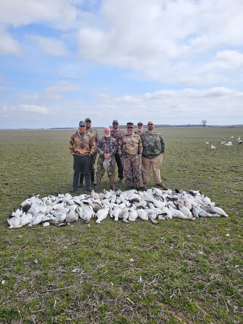 Goose Hunts W/ Lodging Available