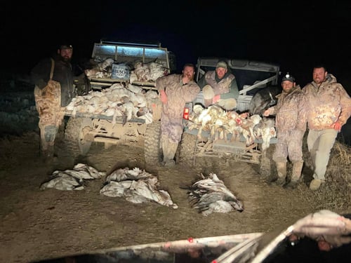 Goose Hunts W/ Lodging Available