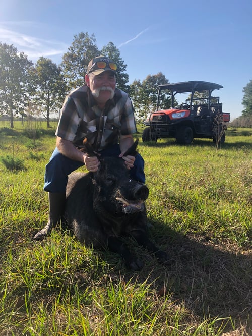 Hog Hunting in Fort Lauderdale, Florida
