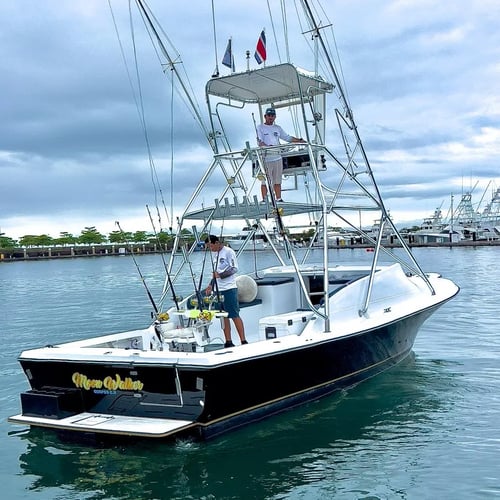 Full Day Offshore - 32'