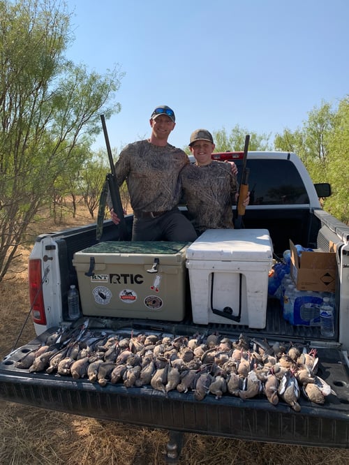 Rising Star Dove Hunts