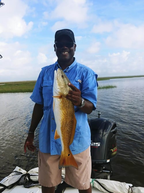 Baytown Hook and Shoot