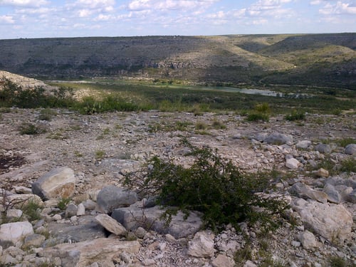 West Texas Dove Hunts