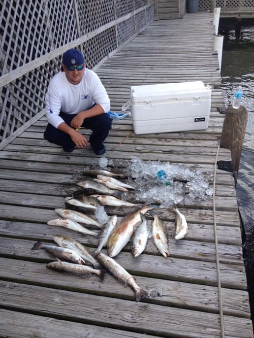 Bay Fishing Trip