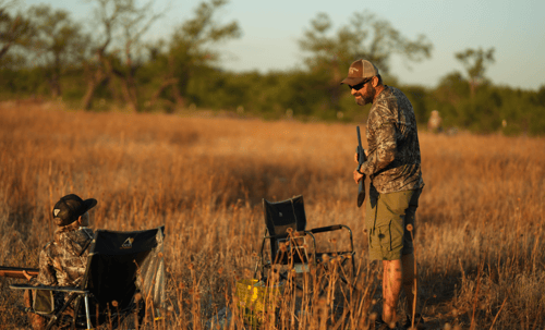 North Texas Dove Till Sunset