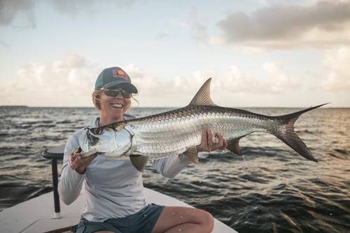 Tarpon Fishing in Big Pine Key, Florida