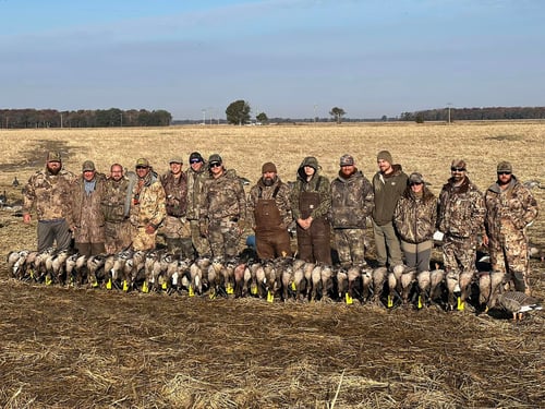 Arkansas Goose Hunts