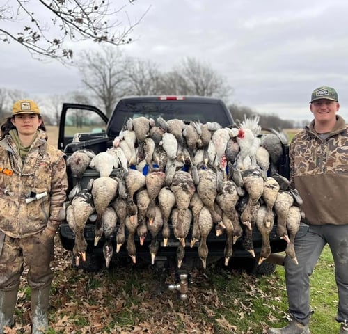 Arkansas Goose Hunts