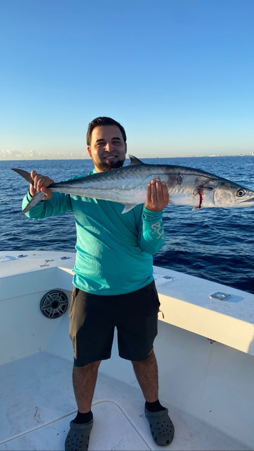 Kingfish Fishing in Pompano Beach, Florida