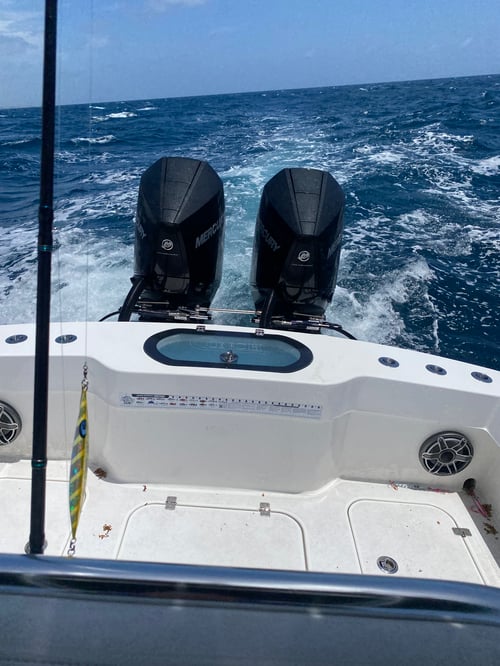 Half Day Trip - Deep Sea Fishing