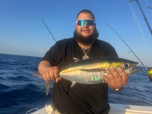 Sport Fishing