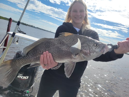 Black Drum Fishing in Port Orange, Florida