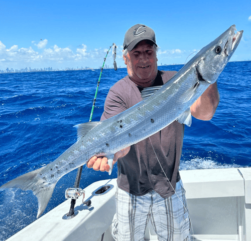 Barracuda Fishing in Miami Beach, Florida
