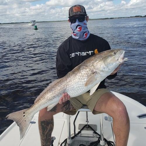 Inshore-Nearshore Run