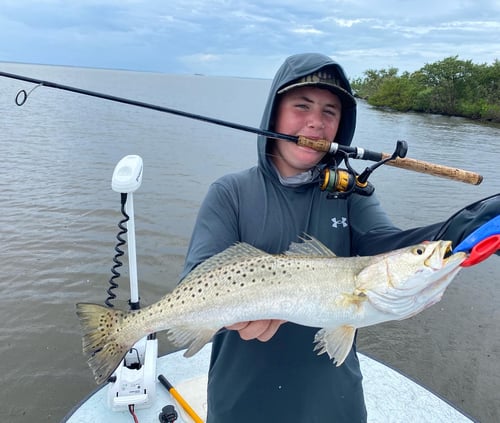 Speckled Trout Fishing in Mims, Florida