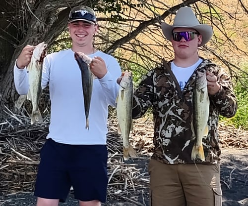 Tri Cities Columbia River Walleye 