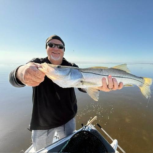 Artificials, Fly, or Bait!