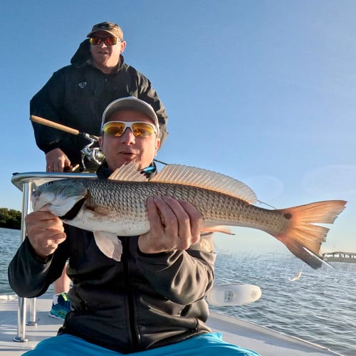 Artificials or Fly Fishing