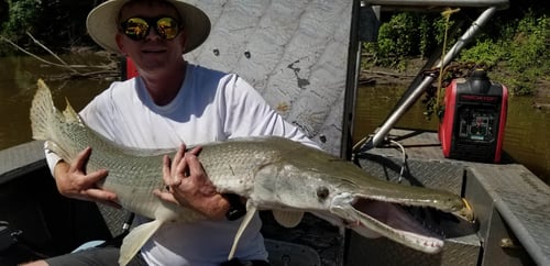 3 Day Alligator Gar Bowfishing