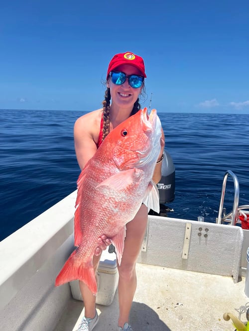Offshore Snapper - 32' Cat