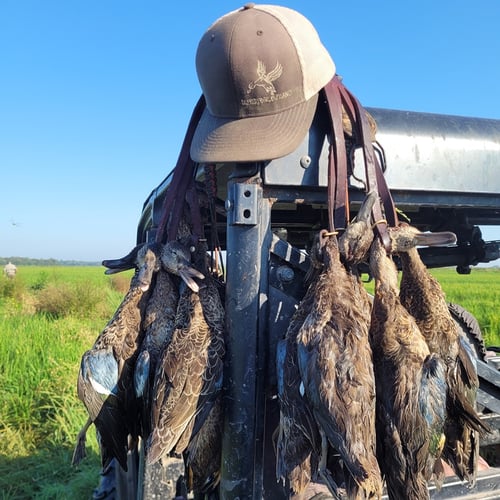 Texas Teal Hunt 🌾🚀