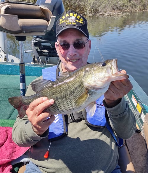 Potholes Reservoir Bass 