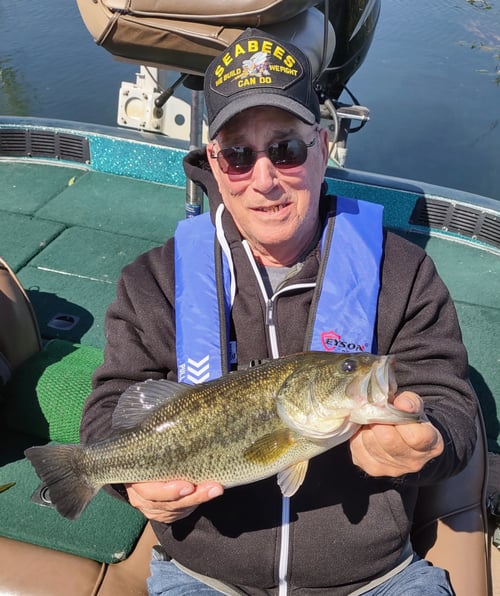 Potholes Reservoir Bass 