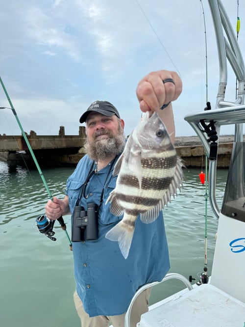 Bay fishing