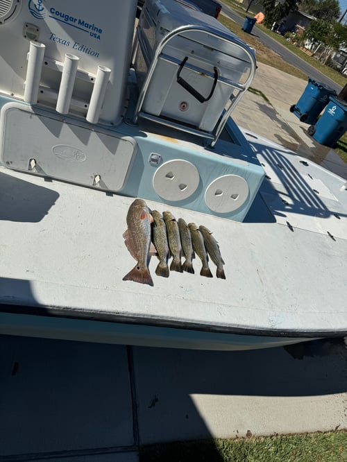 Bay fishing