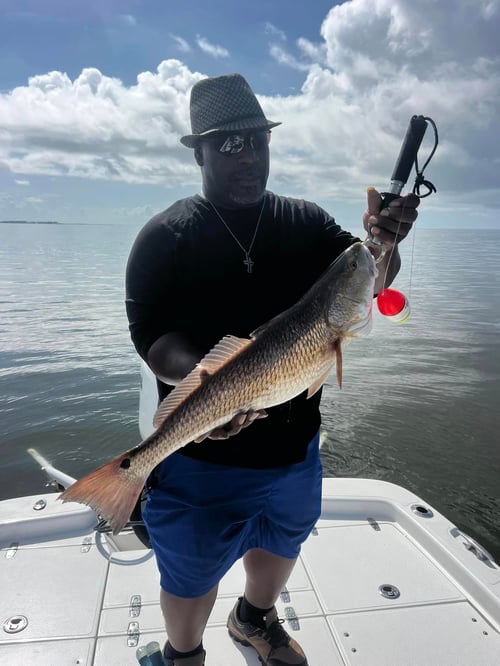 Redfish Fishing in Dauphin Island, Alabama