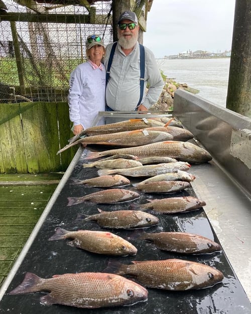 Mangrove Snapper, Redfish Fishing in Surfside Beach, Texas