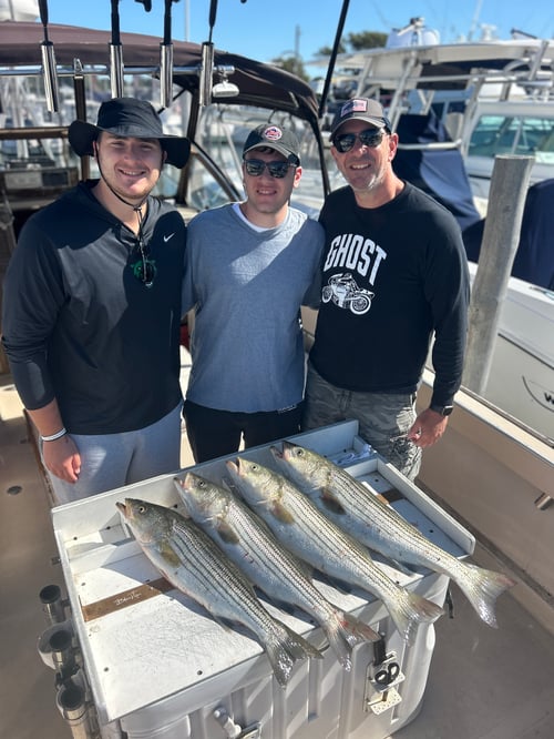 6 HR Inshore Fishing Trip