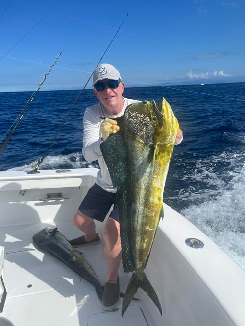 Mahi Mahi Fishing in Playa Herradura, Costa Rica
