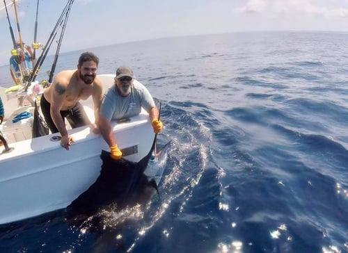 Sailfish Fishing in Playa Herradura, Costa Rica